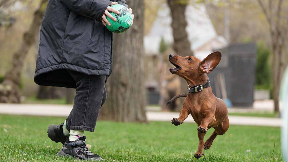    Фото: Пелагия Тихонова / АГН Москва