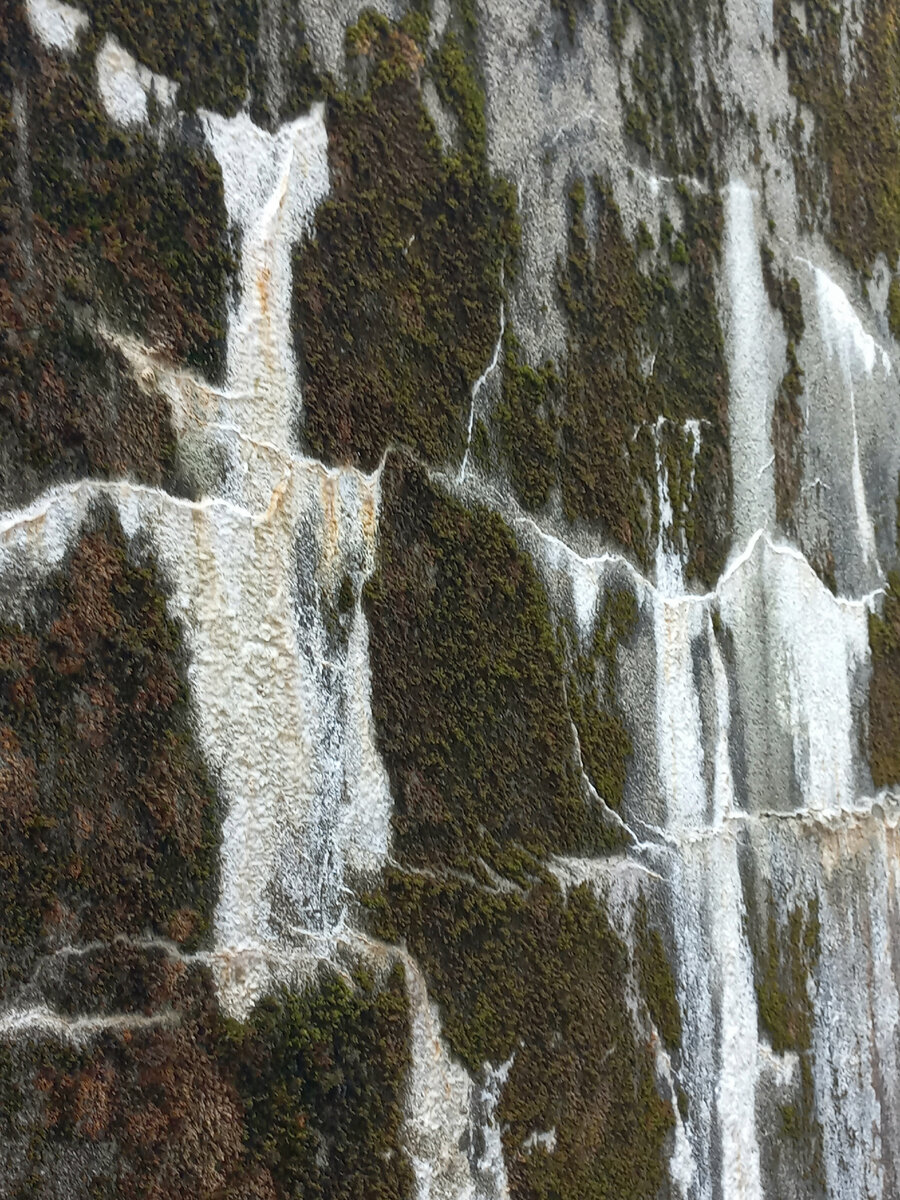 А здесь сочетание каменного налёта и мха. Необычно смотрится