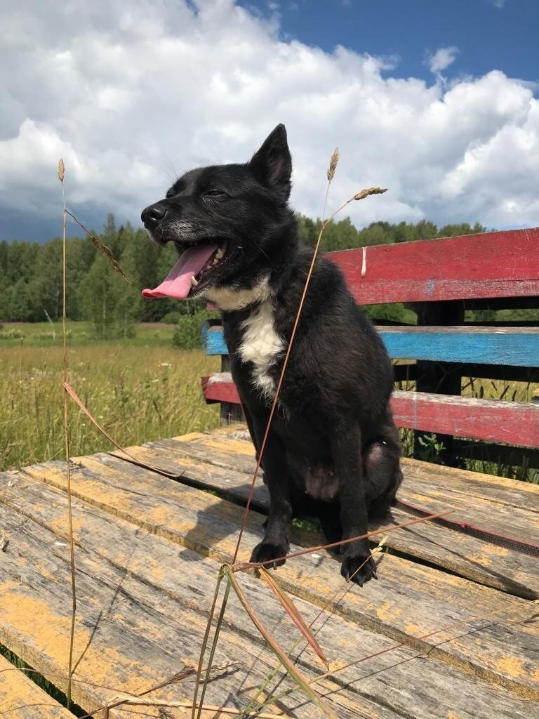 Фото Можайского приюта