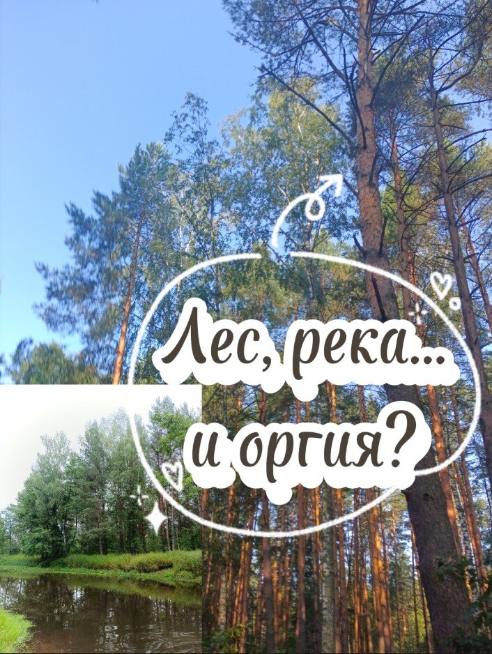 Фото прекрасного места, где должна была состояться оргия... Шутка! БДСМ фестиваль 