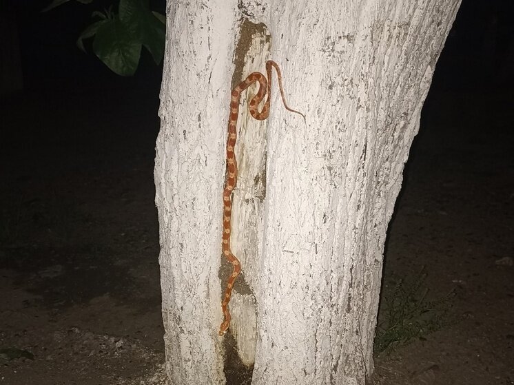     фото из группы «Любимый КСК» во «ВКонтакте»