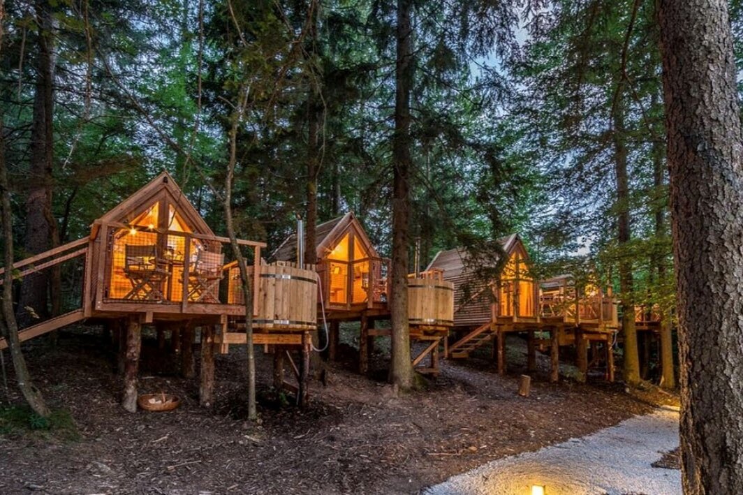 Домики для отдыха на деревьях
