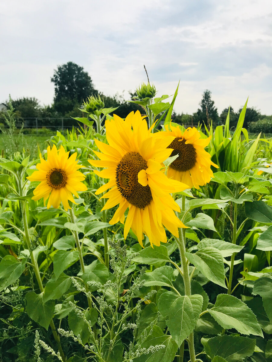 Личное фото.