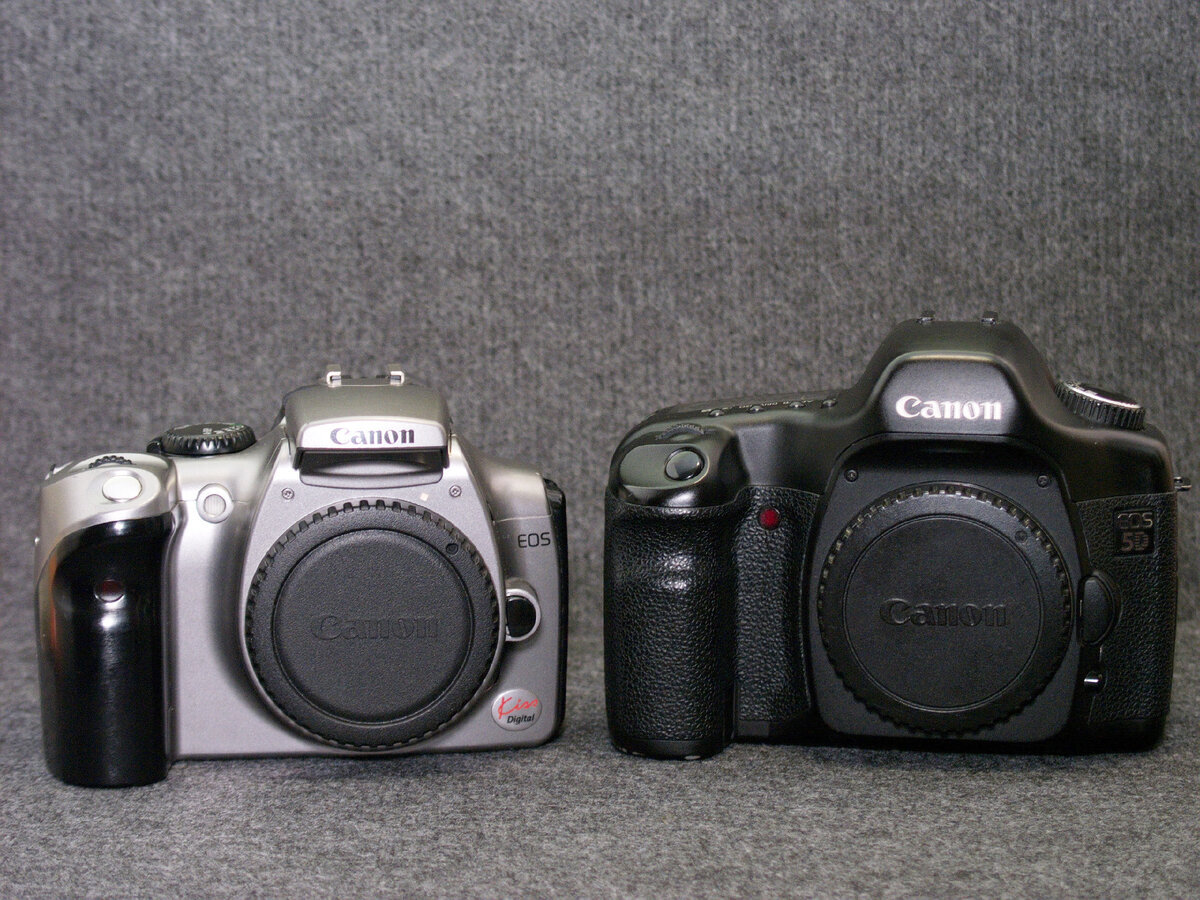 Canon EOS 300D и Canon EOS 5D