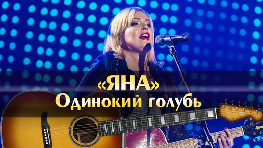 Аккорды одинокий голубь на карнизе за окном