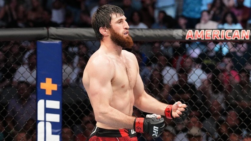     Боец UFC Магомед Анкалаев Gettyimages.ru Josh Hedges / Contributor