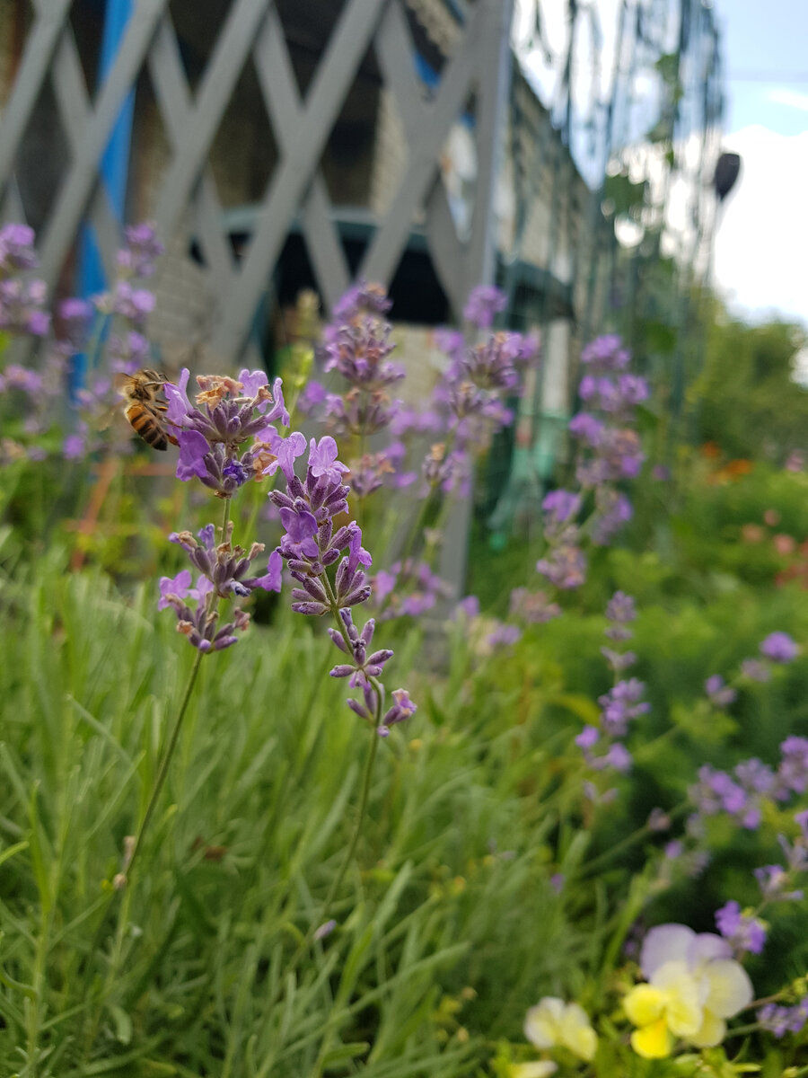 Фото автора ( прошлогодняя подставка )