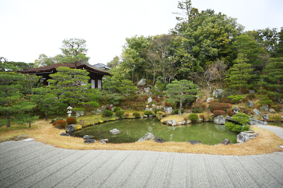 Японский пруд. Ландшафтный пейзажный сад Японии. Пруд в саду Япония. Японский сад с прудом в Киото. Пруд в саду Киото.