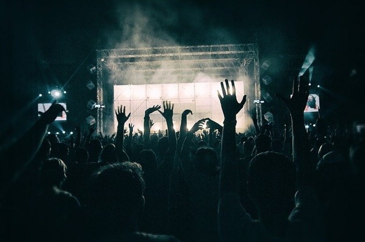    Фестиваль электронной музыки под Набережными Челнами закончился визитом полиции.