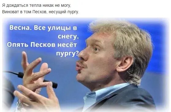 Яндекс картинки