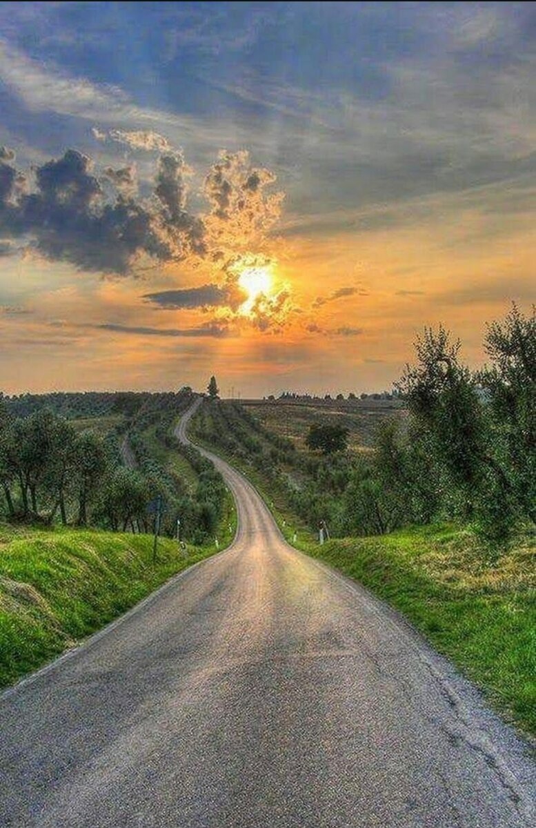 Дорога к успеху