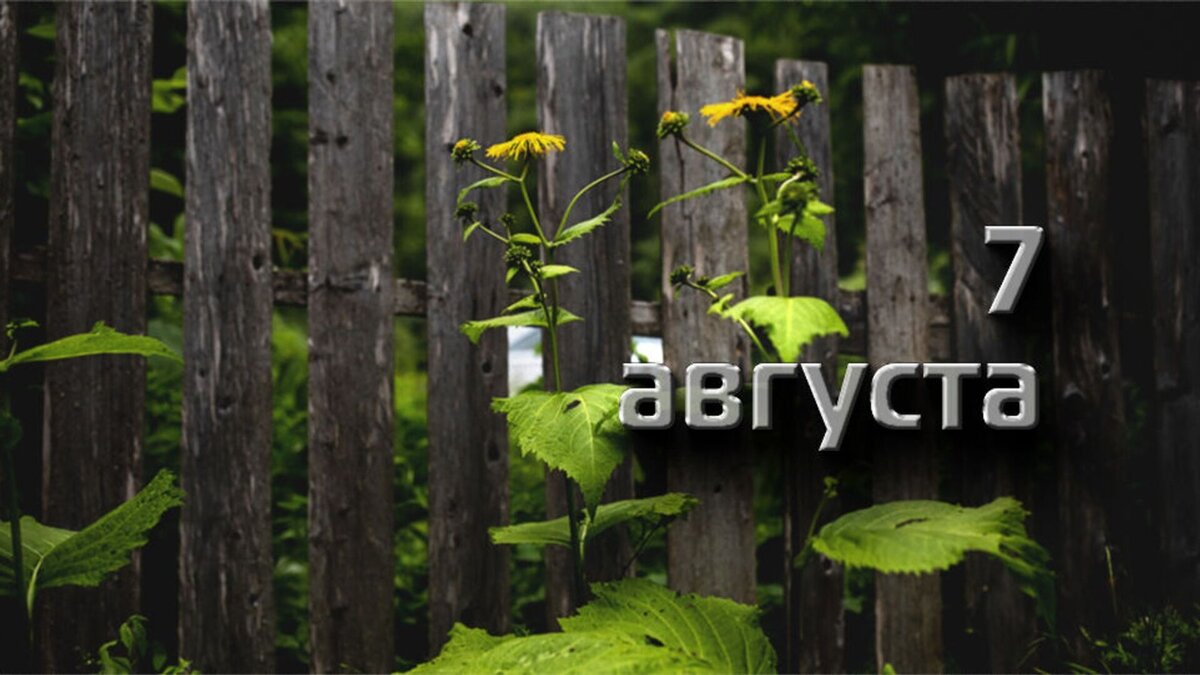 Один день великой страны. 7 августа