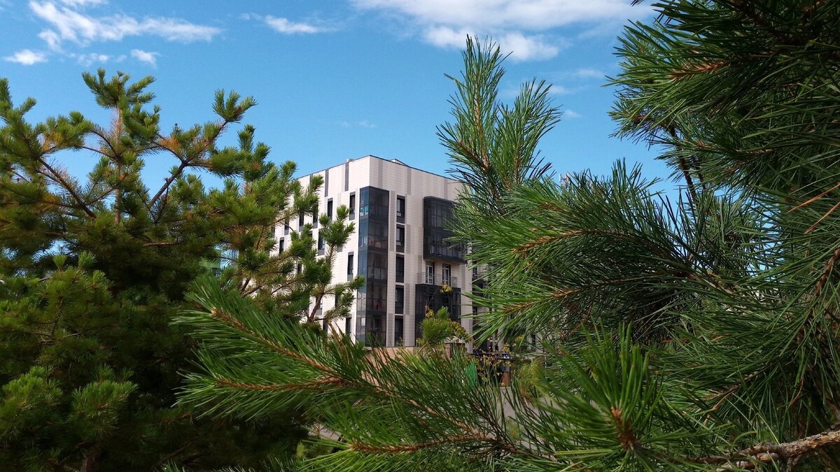     Экс-министр связи, бывший глава Иннополиса, Николай Никифоров предложил проложить метро из Казани в самый молодой город России. Соответствующий пост он опубликовал в своём Telegram-канале.