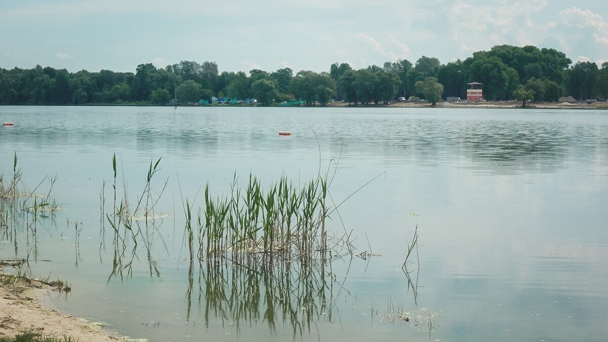     Сейчас уровень воды в реках превышен, в связи с чем обстановка остается напряженной — сообщают синоптики Приморья. Затопить близлежащие территории могут воды реки Большая Уссурка у села Рощино.