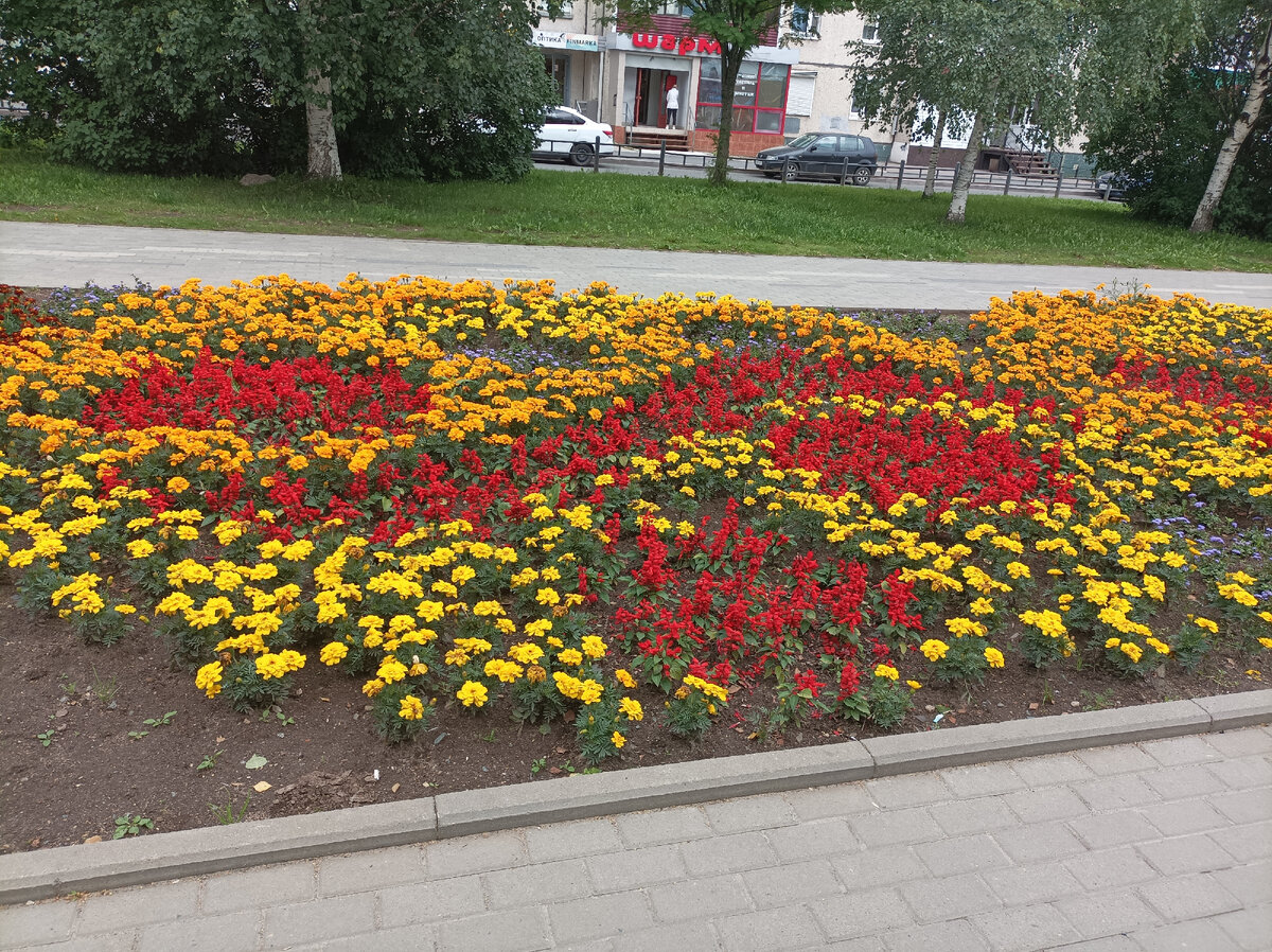 На нашей аллее, новых фото нет, не до них