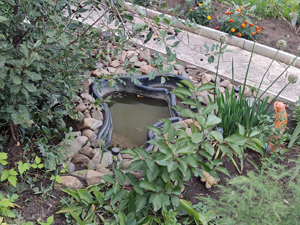 Фото автора