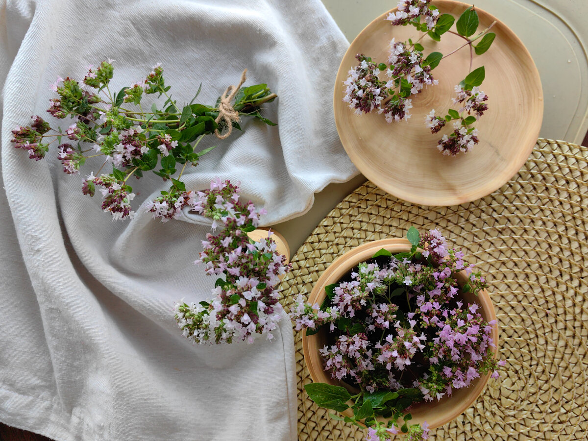 🌿Душица (орегано) -трава для женского здоровья!🌿 | 🌿Арсенькин чай🌿 |  Дзен