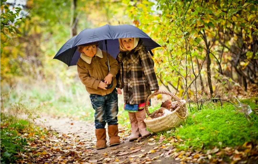 Девочка в лесу собирала грибы. Осенняя прогулка. Осень для детей. Грибники в осеннем лесу. Мальчик осень.