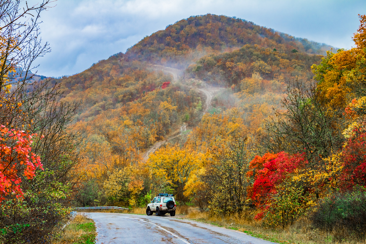 Страна в ноябре. Осень в Крыму. Крым осенью. Ранняя осень Крым. Золотая осень в Крыму.