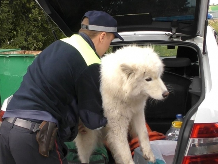 ФОТО: ПРЕСС-СЛУЖБА УМВД РОССИИ ПО ОРЛОВСКОЙ ОБЛАСТИ 