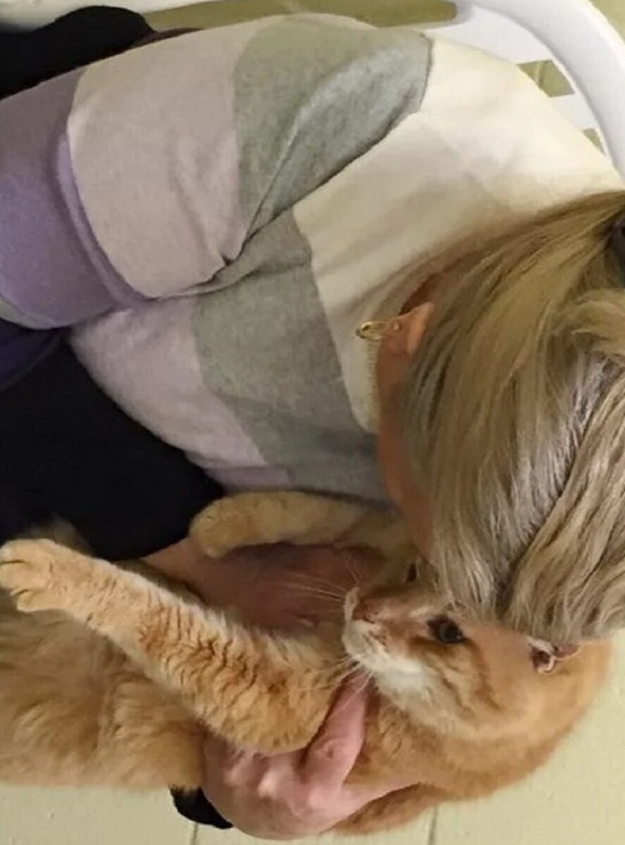 Женщина забрала Моджо домой и, казалось бы, это счастливый момент, но без друга счастья не будет