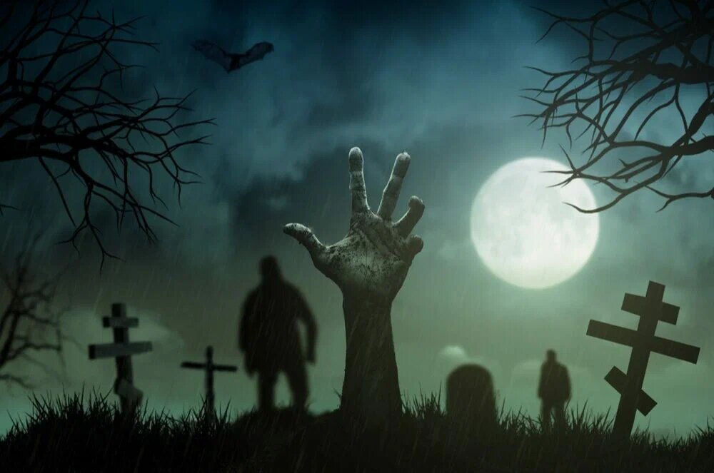 яндекс картинки