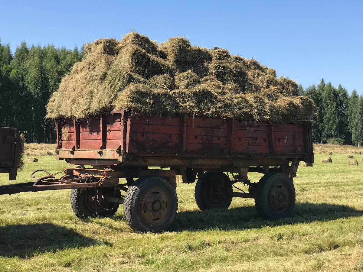 Наше сено