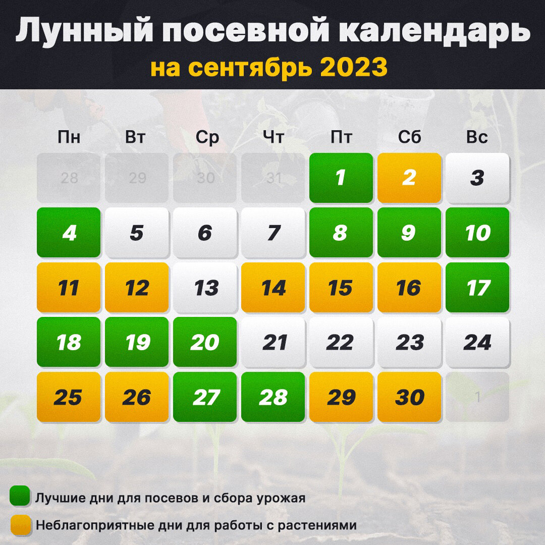 Лунный календарь стрижек на сентябрь месяц
