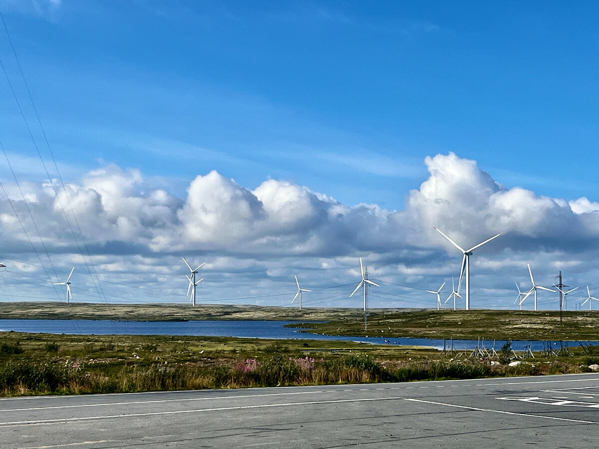 Они огромные!