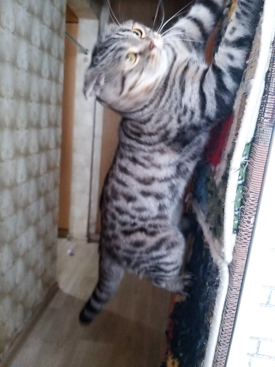 Благодарю за фото Надежду ГРИШИНУ)