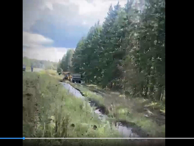     Скрин видео Владимира Жипы