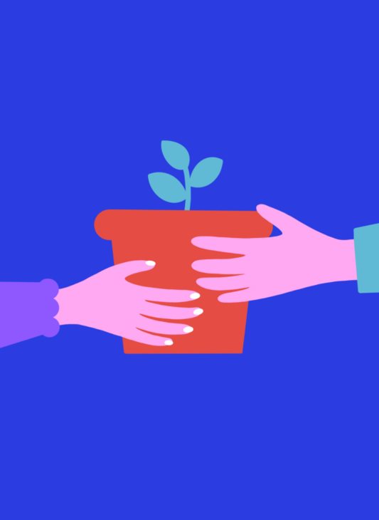 Иллюстрации: REYA (Дмитрий Толстых, Мария Ахтырская)