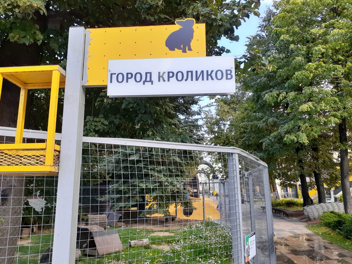 Мы как те Кролики в контактном зоопарке, сидим по клеткам, дрожим и жуём, что дают. 