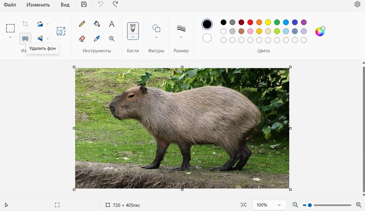    Пример работы функции удаления фона