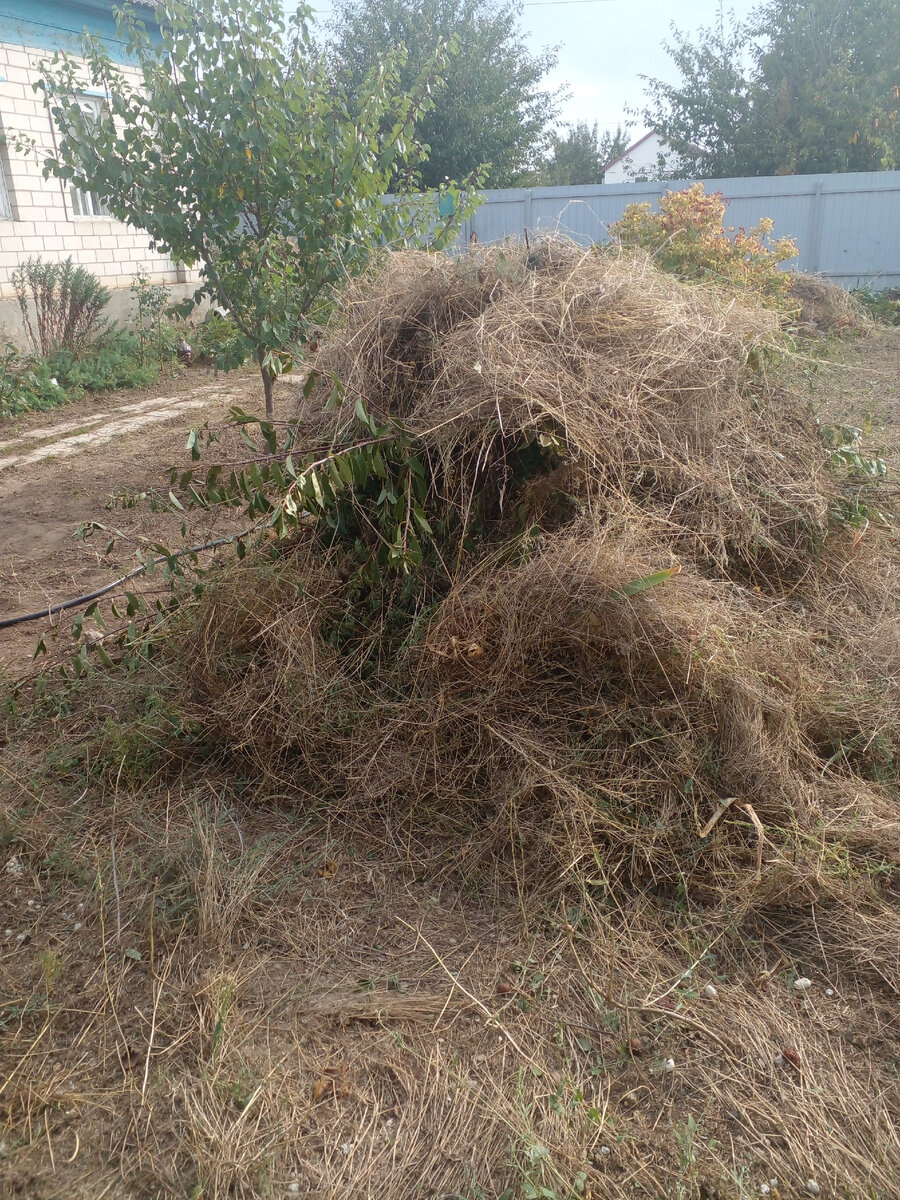 Видно очищенную от травы дорожку.