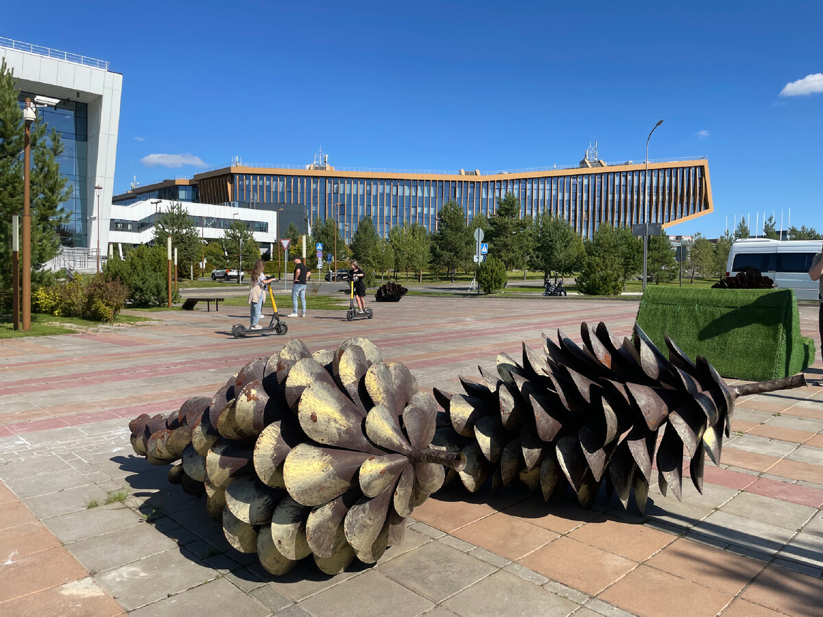 В молодом современном Иннополисе всё удивительно!