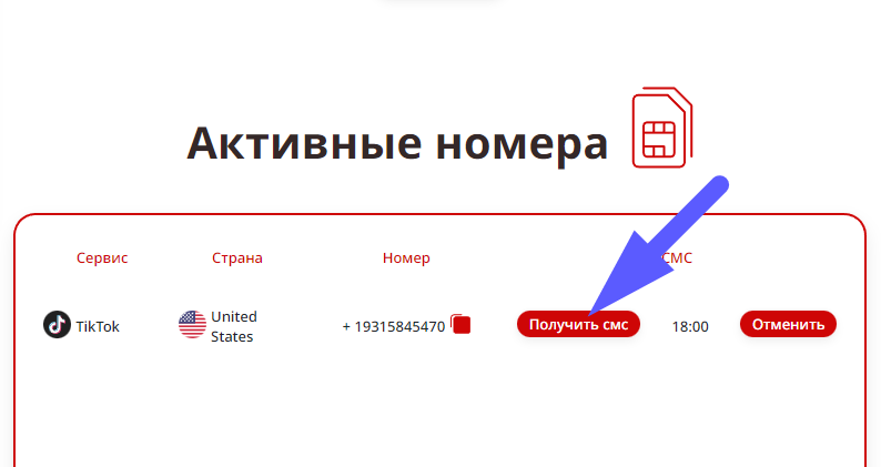 Как обойти блокировку Тик Ток в России на Андроид, ПК и Айфон | TIGER SMS |  Дзен