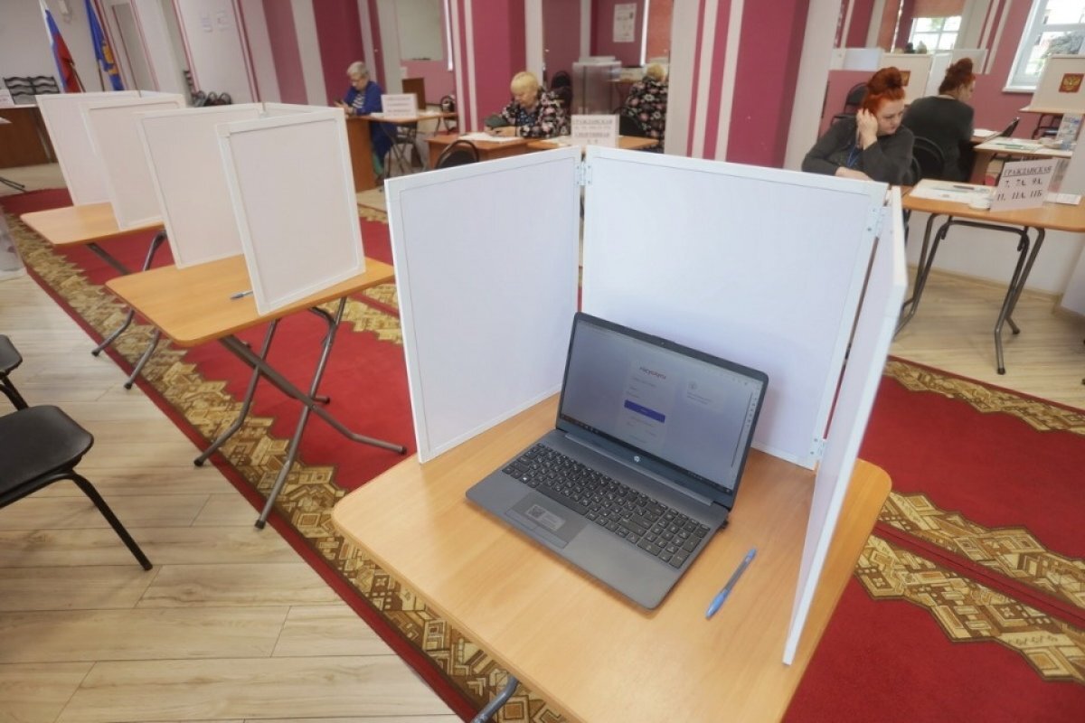    Илья Стрелков: Избиратель поверил в надежность системы ДЭГ