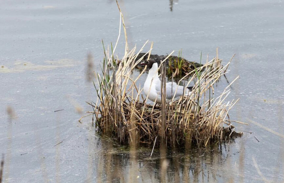 Фото из фотобанка Лори 