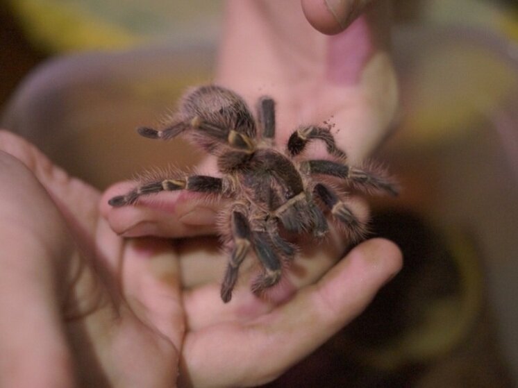     ФОТО: ЕКАТЕРИНА ШАХОВА