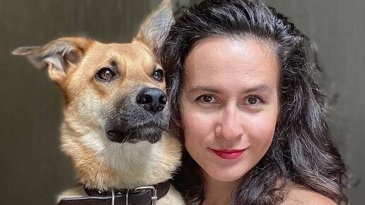 «Собаки, которые любят» Фонд помощи бездомным животным | Мускат из ...