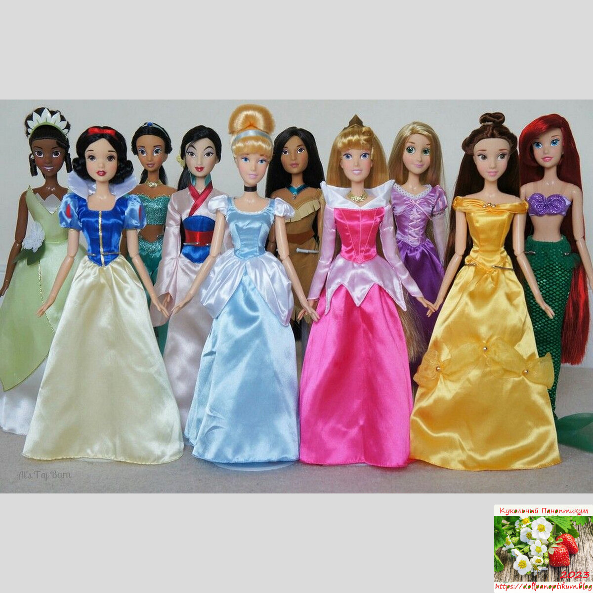 Все варианты 17" кукол поющих принцесс, фото из интернета