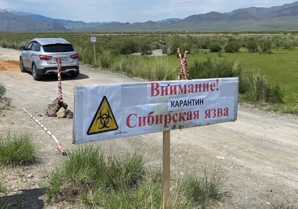    Минздрав Тывы подтвердил сибирскую язву у четверых госпитализированных