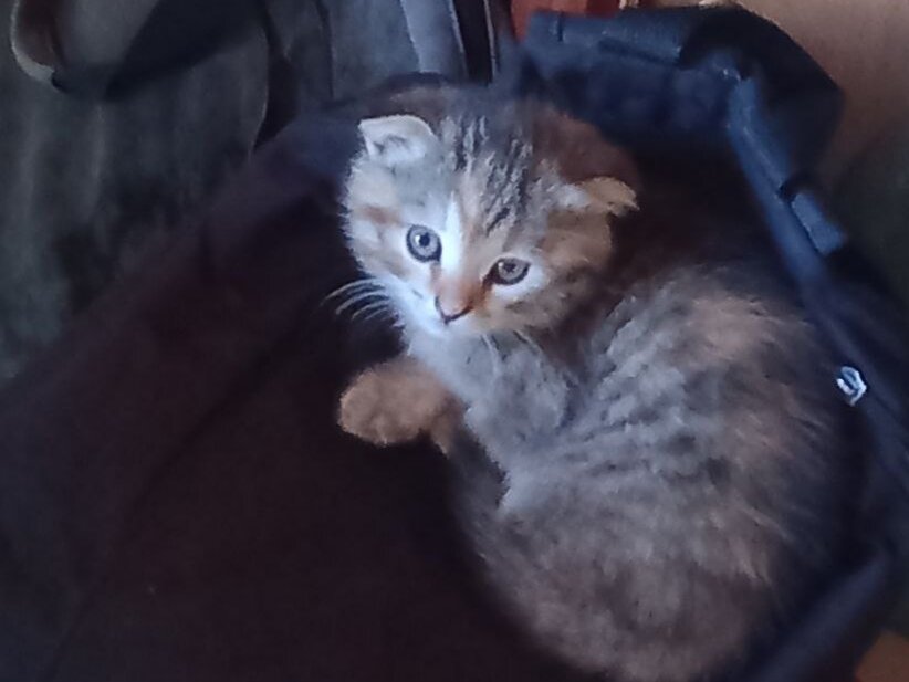 Фото дочери Екатерины, лето 2022