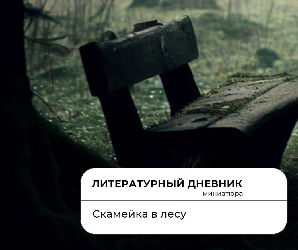 Миниатюра: Скамейка в лесу