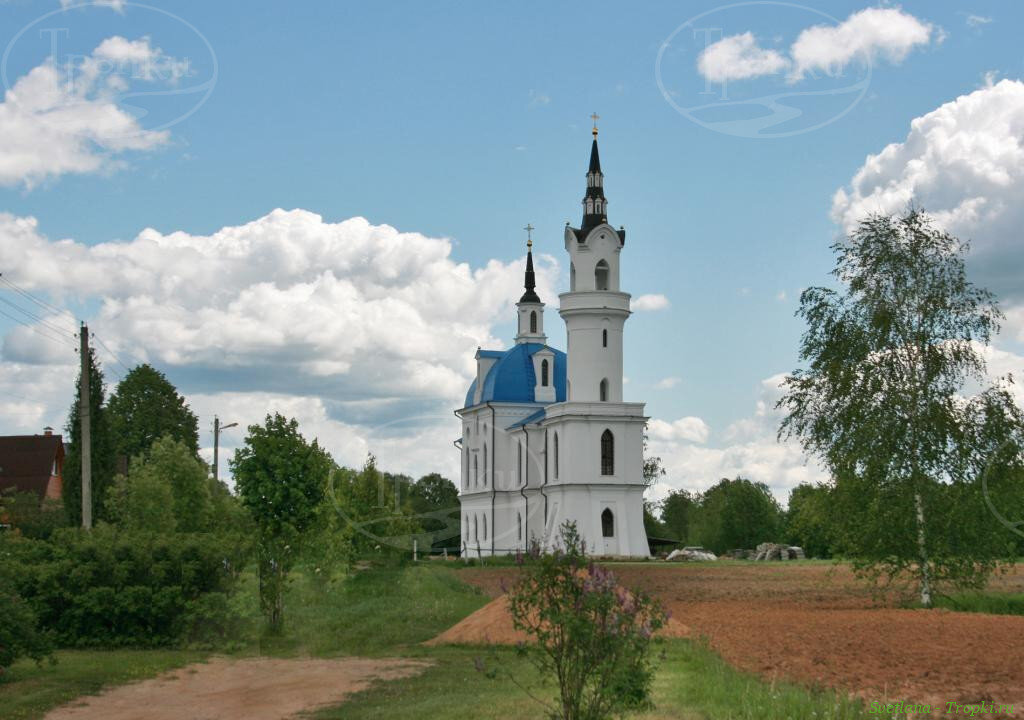 Из открытых источников 