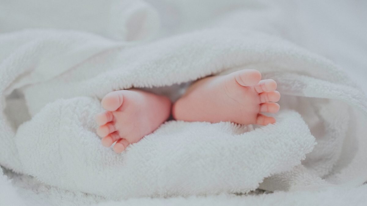    Фото: Unsplash Август Макаров