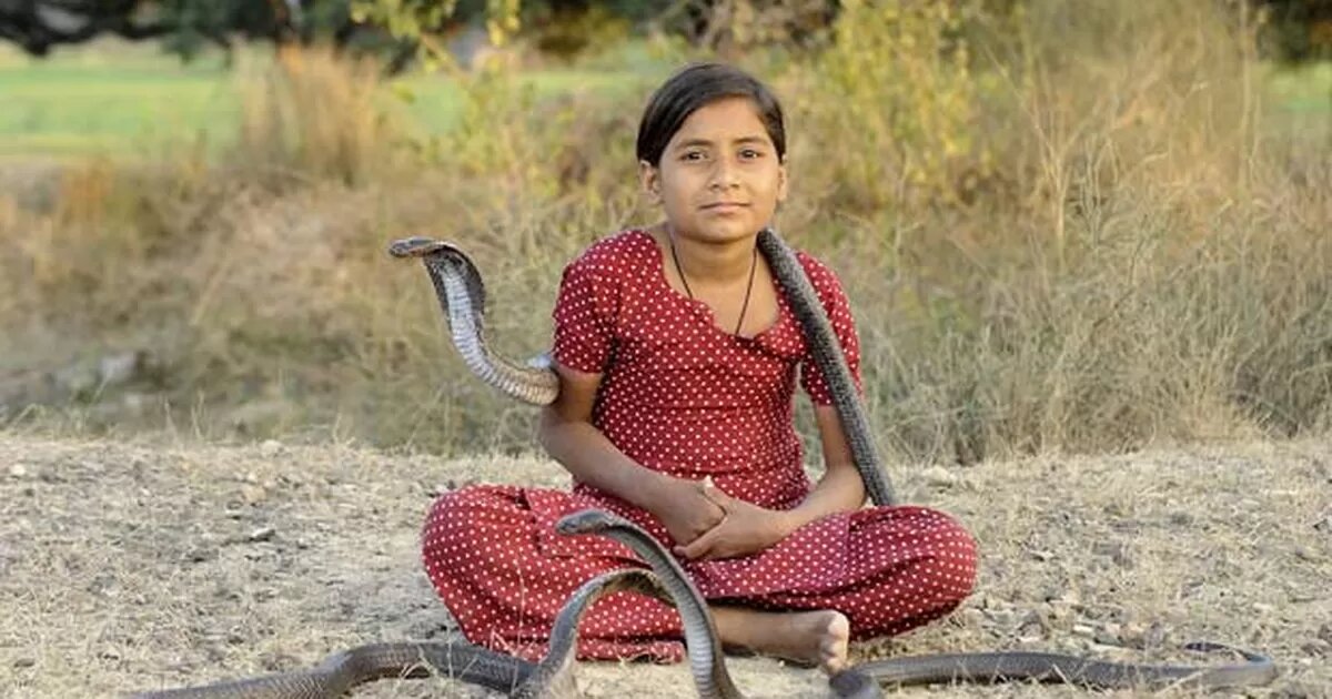 Источник g1.globo.com