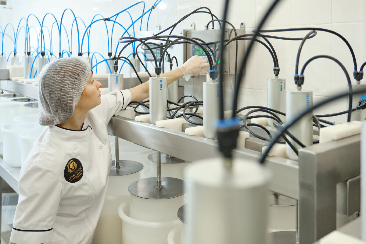 морбье. визитка сыроварни. Morbier сыр. ремесленная сыроварня. сыроварня on cheese.