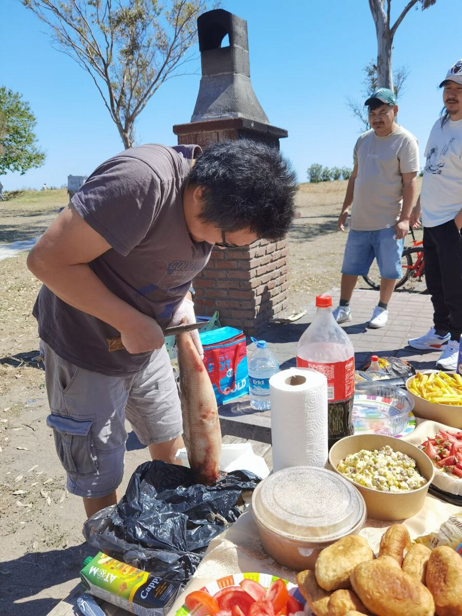 Как всё начиналось: срезаем плавники. Фото автора